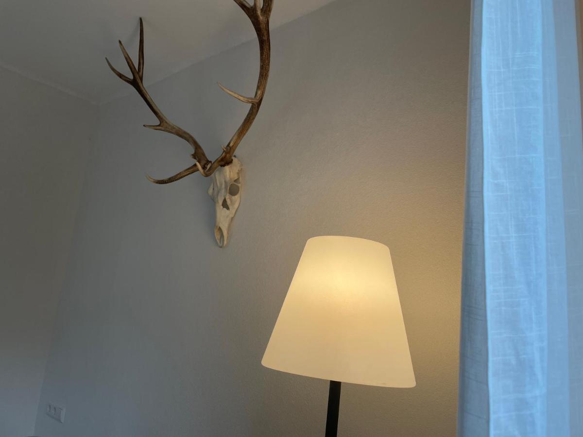 Zwergdackeladlerhirsch Lägenhet Beuron Exteriör bild