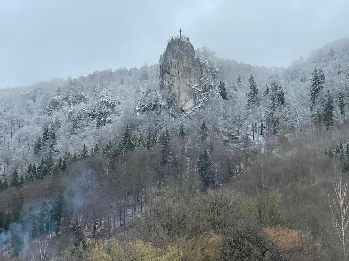 Zwergdackeladlerhirsch Lägenhet Beuron Exteriör bild