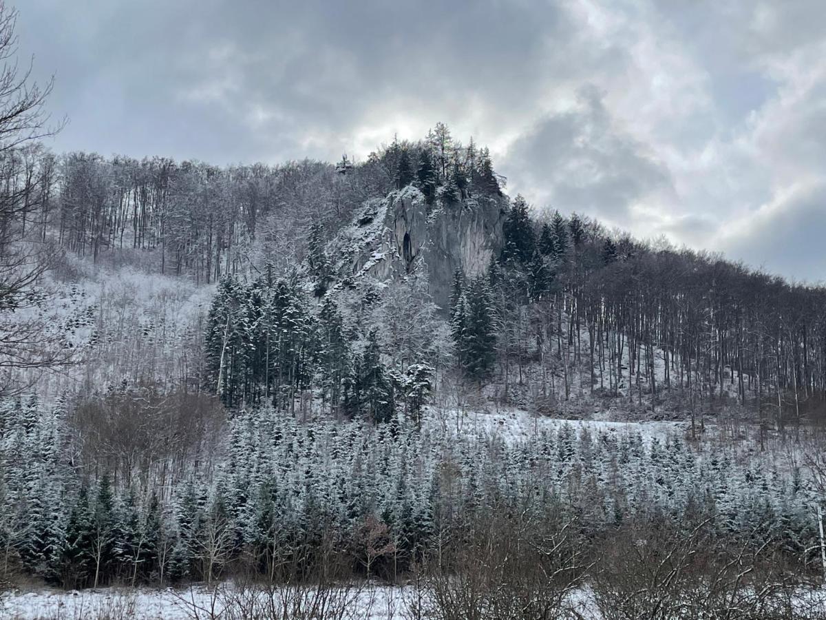 Zwergdackeladlerhirsch Lägenhet Beuron Exteriör bild