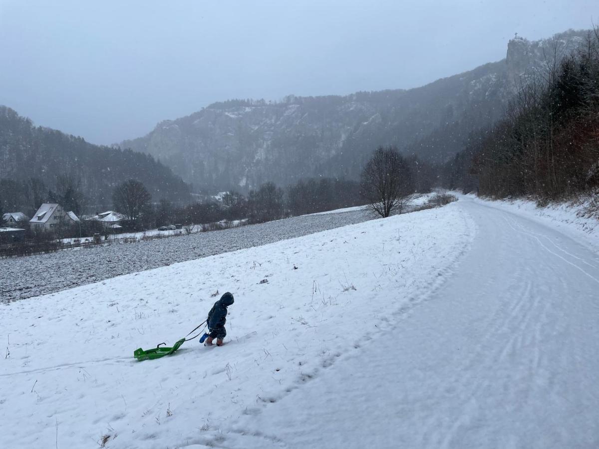 Zwergdackeladlerhirsch Lägenhet Beuron Exteriör bild