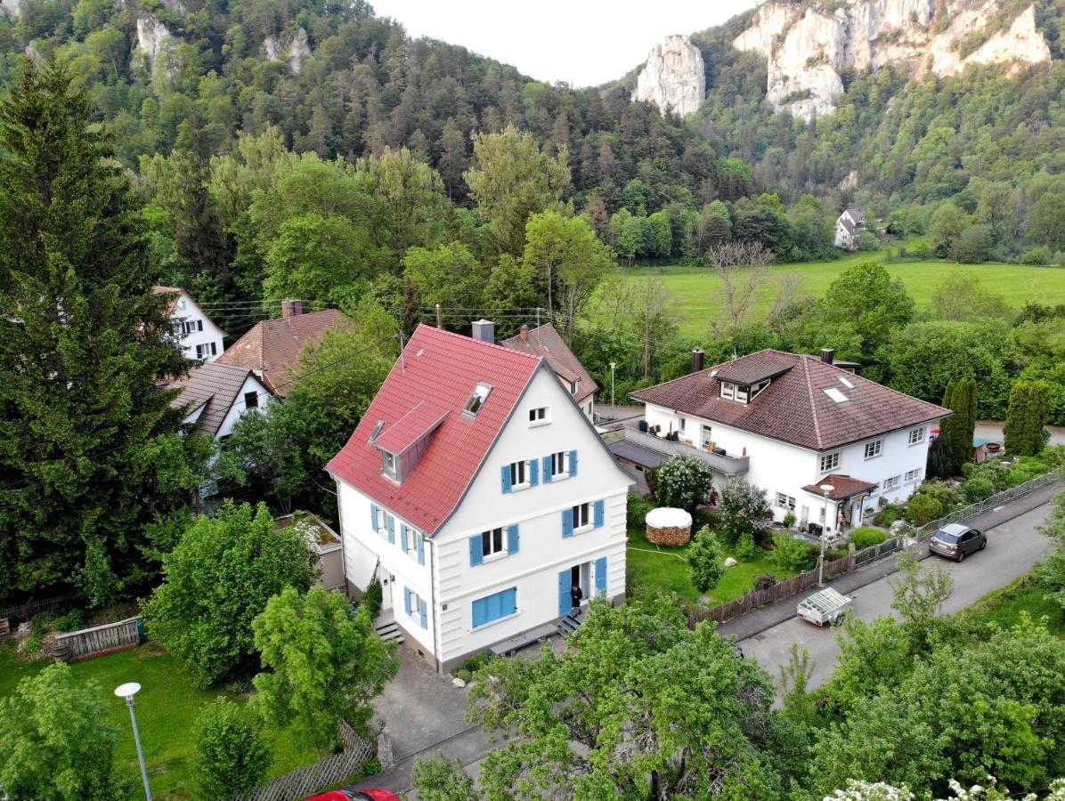 Zwergdackeladlerhirsch Lägenhet Beuron Exteriör bild